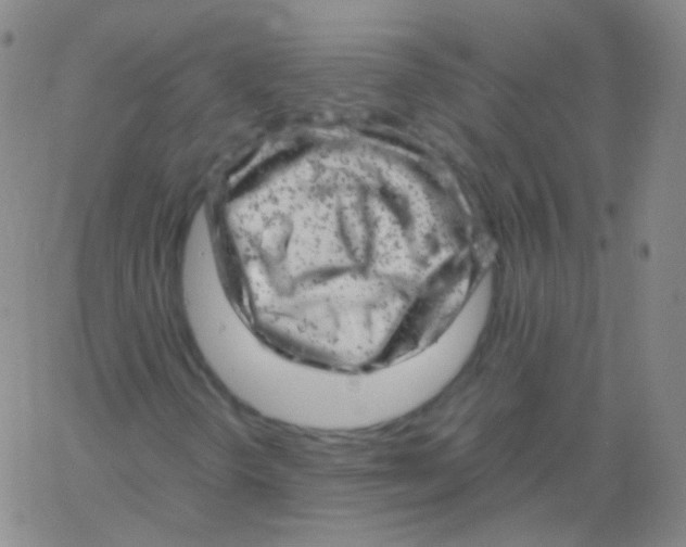 X0000061761298200512231540