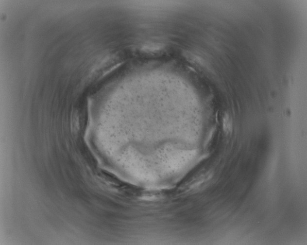 X0000061761299200512231540