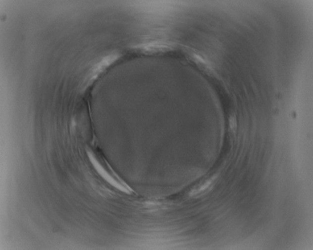 X0000061761300200512231540