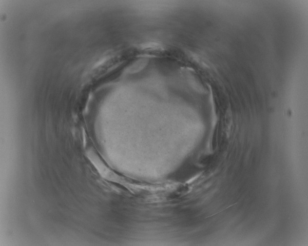 X0000061761301200512231540