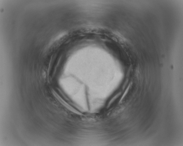 X0000061761302200512231540