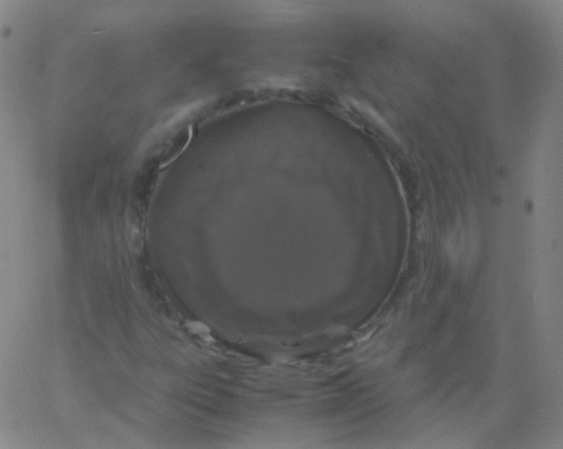 X0000061761303200512231541