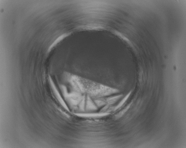 X0000061761306200512231541