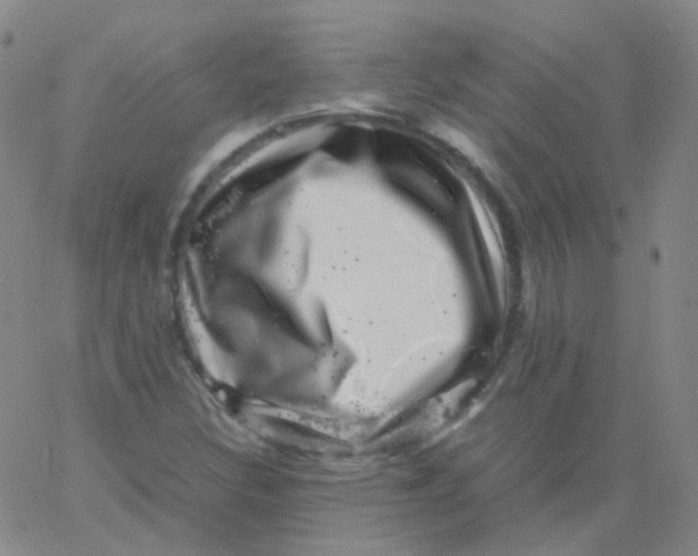 X0000061761308200512231541