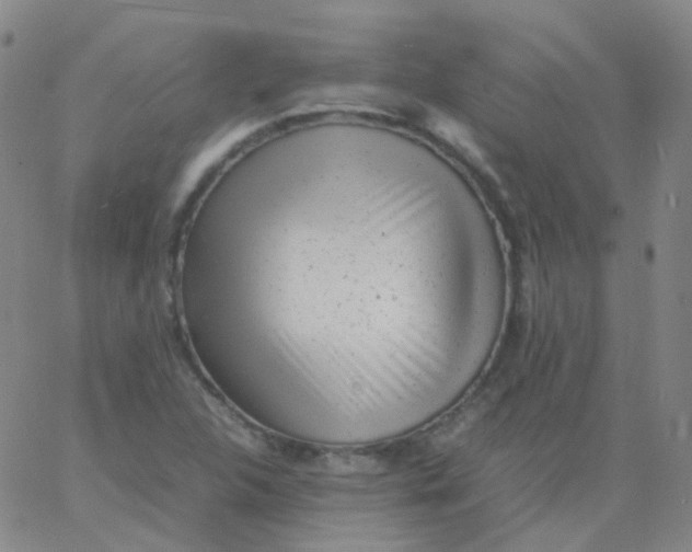 X0000061761312200512231541