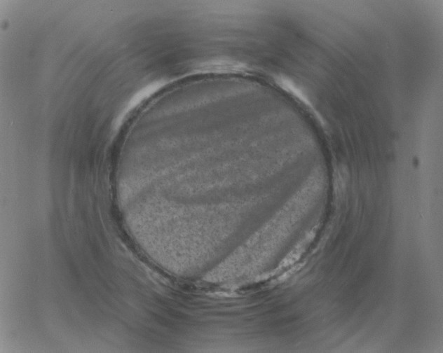 X0000061761315200512231541