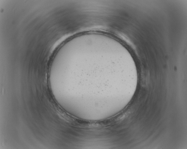 X0000061761316200512231541