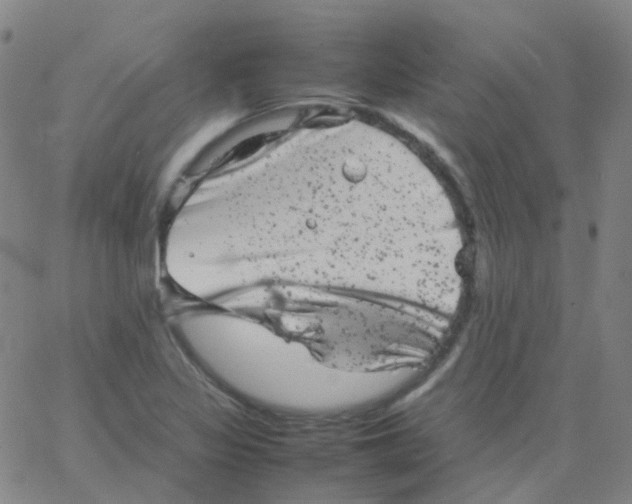 X0000061761317200512231541