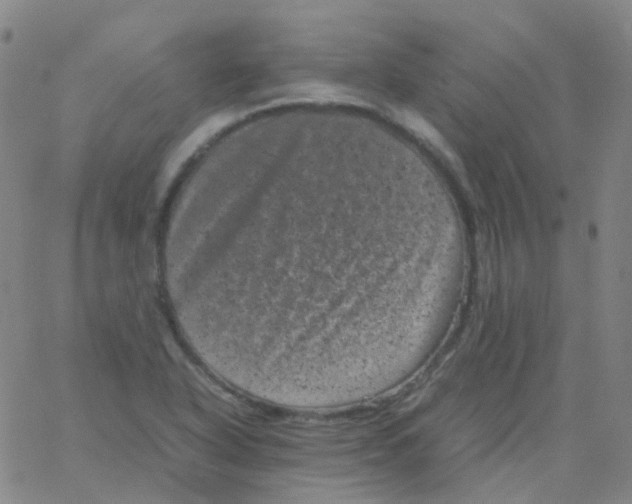 X0000061761318200512231541