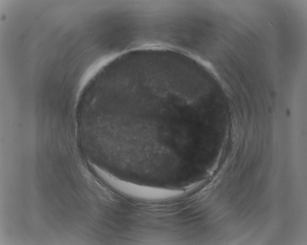 X0000061761319200512231541