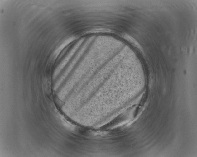 X0000061761321200512231541