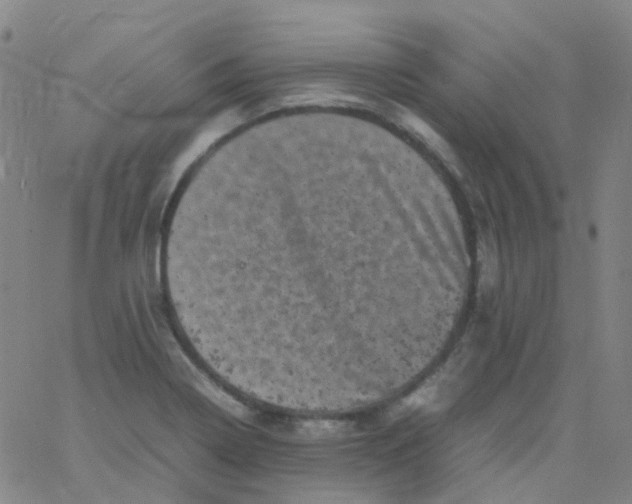 X0000061761322200512231541