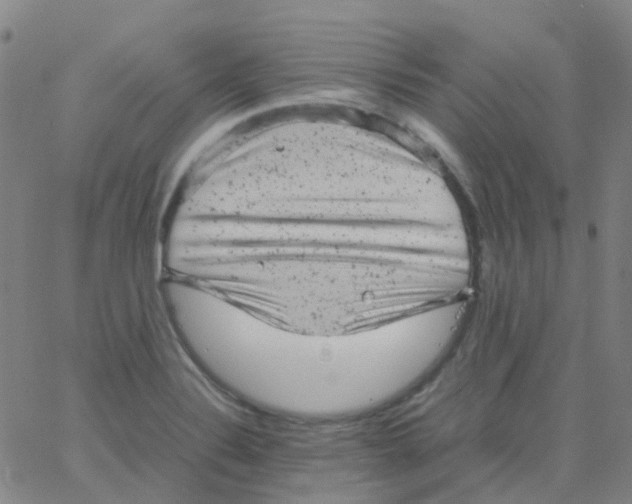 X0000061761324200512231541