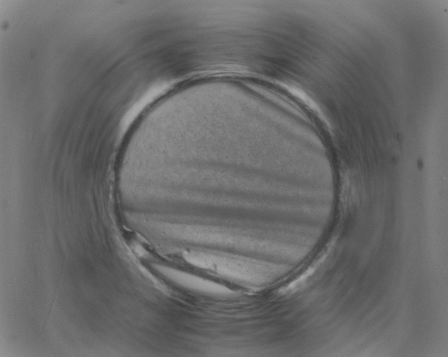 X0000061761325200512231541