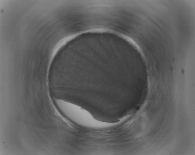 X0000061761327200512231541