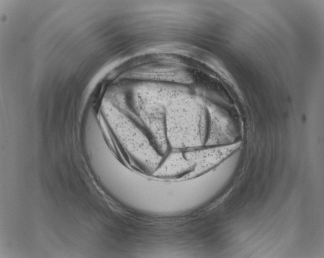 X0000061761328200512231541