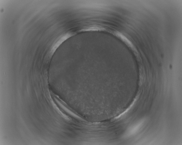 X0000061761329200512231541