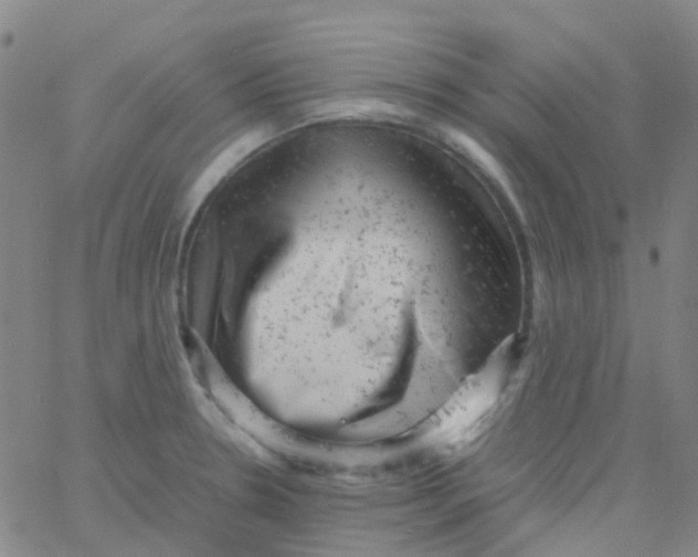 X0000061761330200512231541