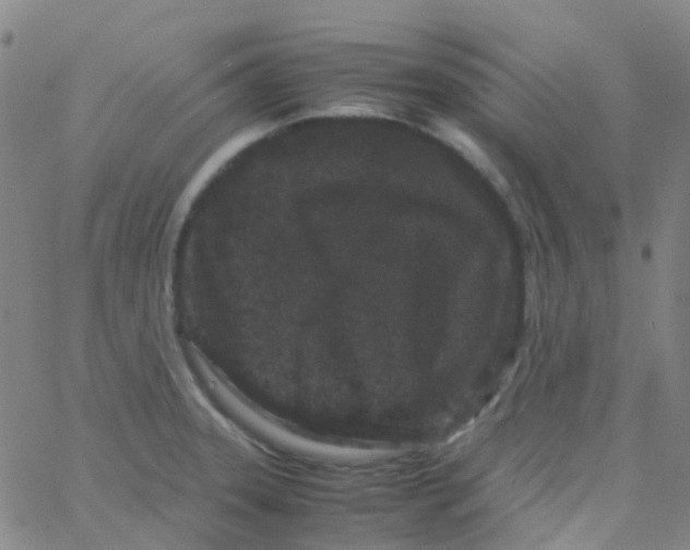 X0000061761331200512231541