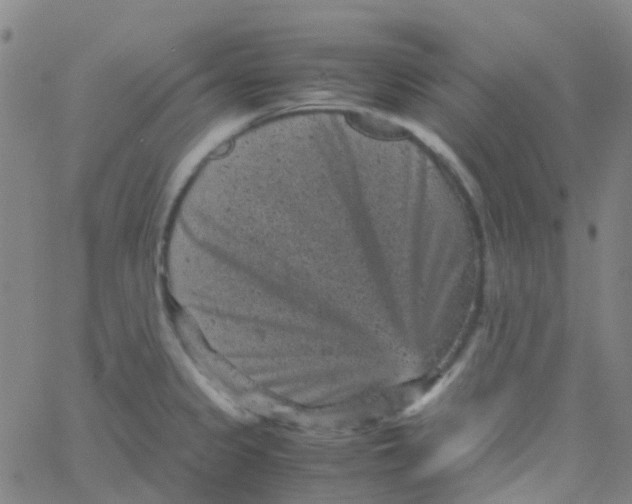 X0000061761333200512231541