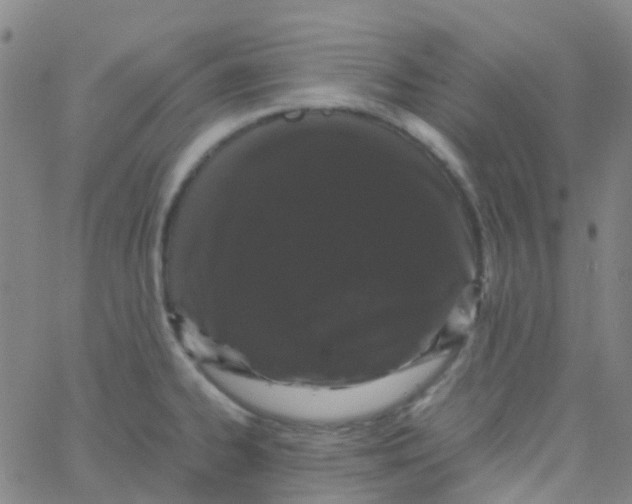 X0000061761334200512231541