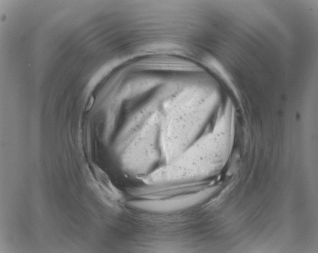 X0000061761336200512231541