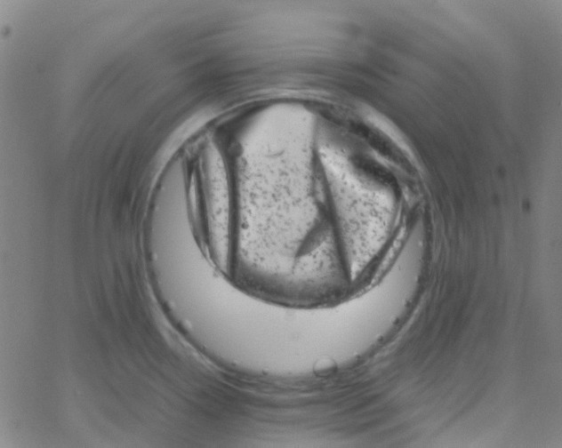 X0000061761338200512231541