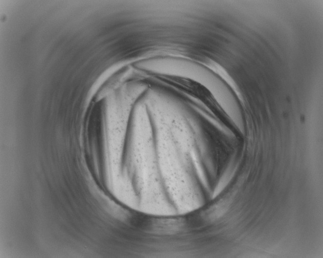 X0000061761339200512231541