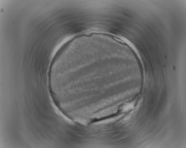 X0000061761341200512231541