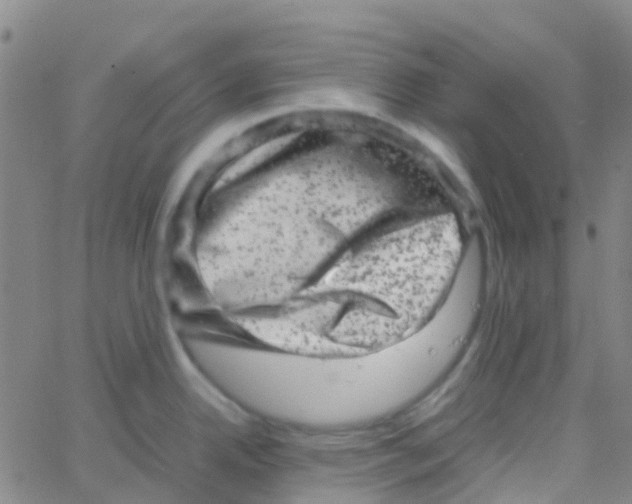 X0000061761342200512231541