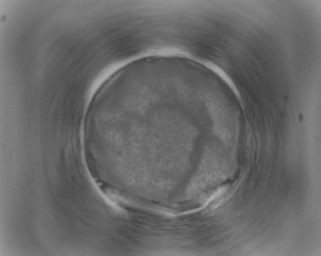 X0000061761343200512231541