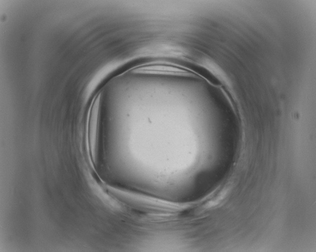 X0000061761344200512231541