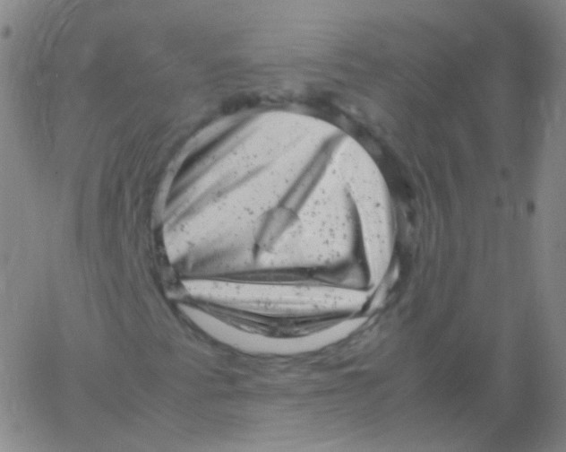 X0000061761345200512231540