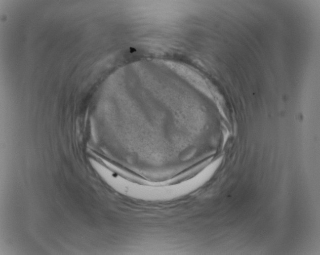 X0000061761347200512231540