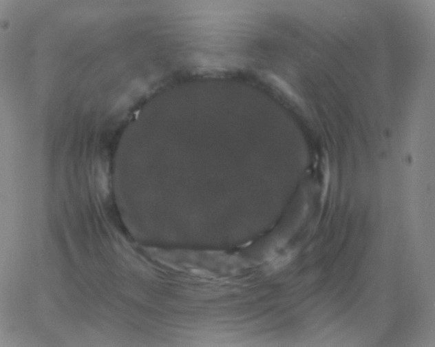 X0000061761348200512231540