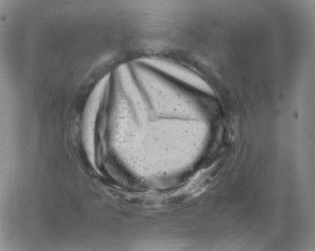 X0000061761349200512231540