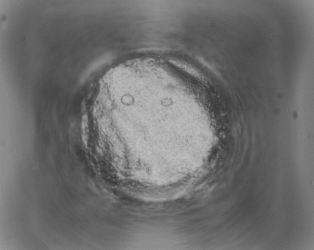 X0000061761351200512231540