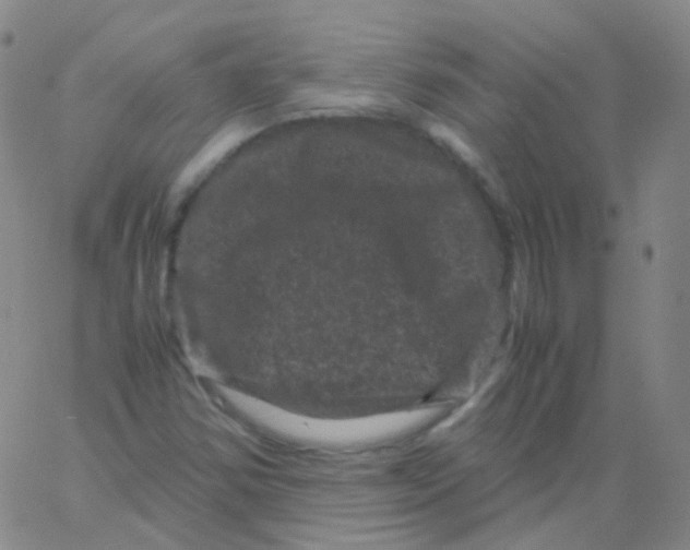 X0000061761354200512231540