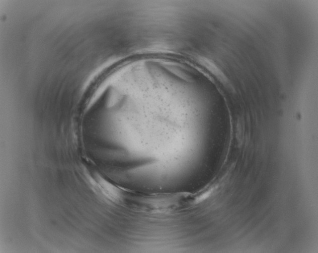 X0000061761356200512231540