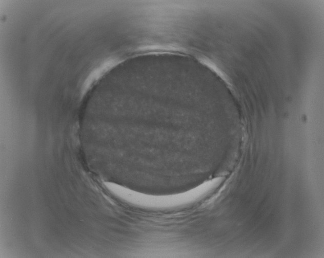 X0000061761357200512231540