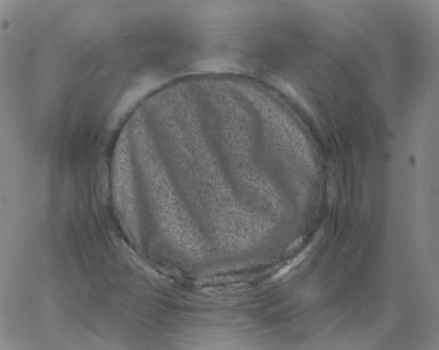 X0000061761358200512231540