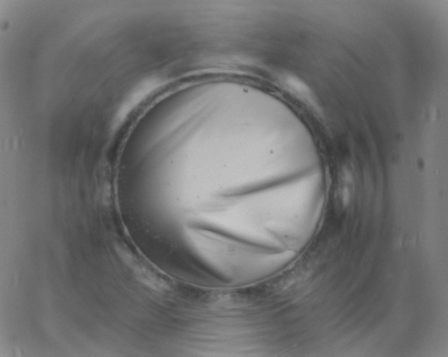 X0000061761360200512231540