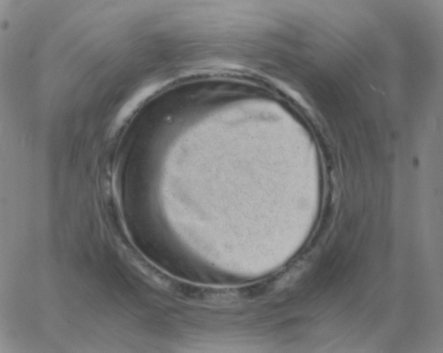 X0000061761363200512231540