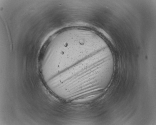 X0000061761364200512231540