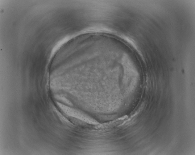 X0000061761366200512231540