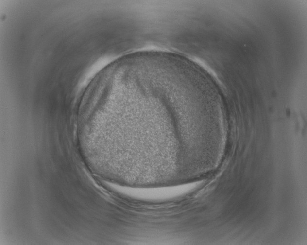 X0000061761367200512231540