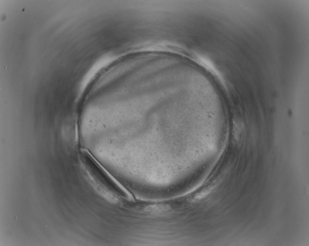 X0000061761368200512231540