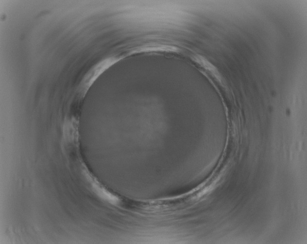 X0000061761369200512231540