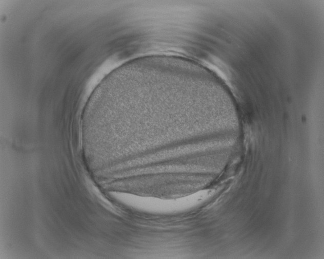 X0000061761371200512231540