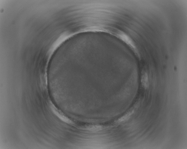 X0000061761372200512231540